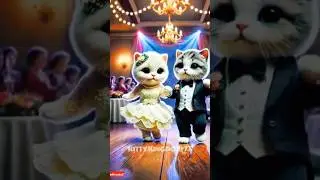Kitty Kingdom 🐈#shortsfeed #youtubeshorts  #shorts #funny #trending
