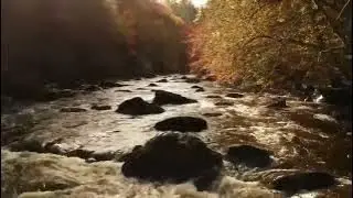 Autumn River Braan On History Visit To Highlands Of Perthshire Scotland