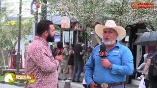 🐴✨¡Hablemos de Caballos & Más! ✨🐴 