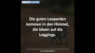 Lustige Spr&uuml;che Video Volume 928