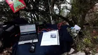 DVGE