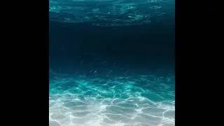 nekowave - Deep Sea Sparring