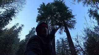 A Visit To Hobbit-Like Cedar Creek Campground! (Brice Creek Oregon)