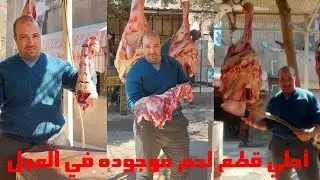 أحسن قطعة لحم في العجل من حقك أنك تعرفها👌💪