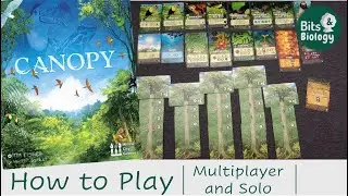 Canopy How to Play | Multiplayer and Solo Rules | Bits & Biology