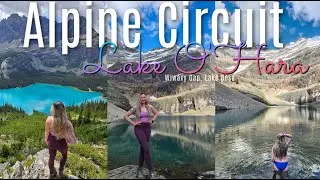 THE MOST BEAUTIFUL HIKE IN CANADA?! 🤯 LAKE O&rsquo;HARA ALPINE CIRCUIT WIWAXY RIDGE