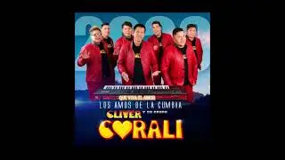QVEA CORALI