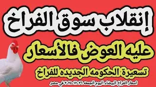 اسعار الفراخ البيضاء اليوم/ سعر الفراخ البيضاء اليوم الجمعه ٢٦-١٢-٢٠٢٥ في مصر جمله وقطاعي