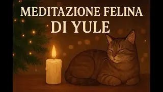 MEDITAZIONE FELINA DI YULE– Lasciare andare e rinascere nella luce