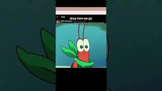 WE ADDED WHAT