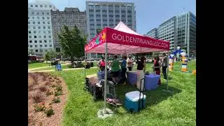 Washington DC,  games ,live music and more in the park