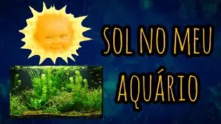Meu aqu&aacute;rio fica dmais no sol - Aqua Gama 