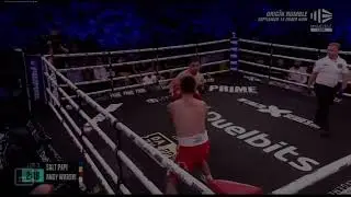 SALT PAPI KNOCKS OUT ANDYWARSKI *IN 29 SECONDS* | Ksi vs Sawmz event