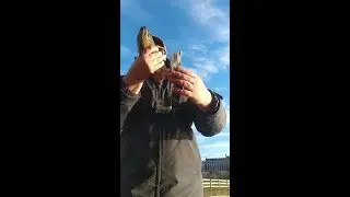 Sightfishing for a Pond Surprise!