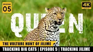Tracking Jilime &ndash; The Elusive Leopard of Maasai Mara | Tracking the Big Cats Ep. 5