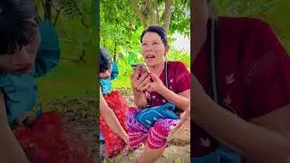 Surprise လာပို့ေ နတယ်