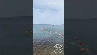 Open Water Swimming Challenge - Dublin, Ireland SwimCamp #shorts