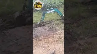 Real Excavator ASMR | 365C Takes on Mud Like a Pro! #asmr #shorts #viral #usa #germany #canada