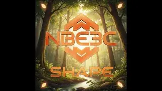 NBE3C - LESSON 8 - Missing and Murdered Indigenous Women and Girls