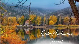  Relaxing Hike in T&uuml;rkiye Rainy | 土耳其 | Turqu&iacute;a | तुर्की | Турция ASMR#asmr #travel #ambient 