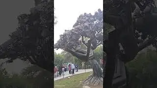 Devil's 👿 tree #explore #funny #trending #viral #instagood #cute #comedy @MrBeast @shemaroo