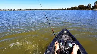 Kayak fishing for redfin perch