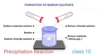 Precipitation Reaction experiment (formation of barium sulphate)
