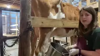 Monday Morning Milking with Melissa | REAL LIFE HOMESTEADING | FAMILY COW