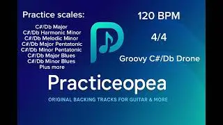 Groovy Synth C♯ / D♭ Drone – 120 BPM