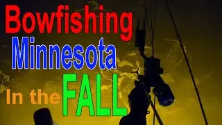 Bowfishing Minnesota at Night! Fall 2020 for Buffalo and Carp