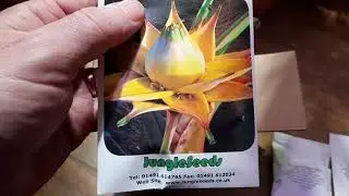 palm seed unboxing