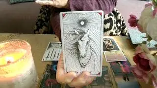 LEO - SHEDDING, BUILD RELATIONSHIPS FOR A WIN! FEBRUARY - MONEY & CAREER #tarot #money #career #leo