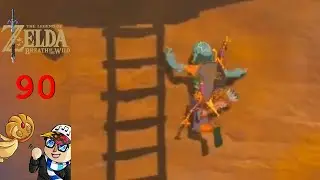 Cleaning up Hyrule || Breath of the Wild Master Mode Part 90