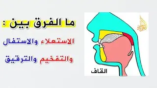 ما الفرق بين الاستعلاء والاستفال والتفخيم والترقيق
