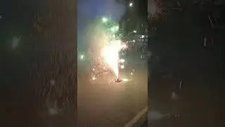 Dragon Fortune Fountain 2024