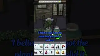 Unique Idea For A Potted Plant! | Sims 4