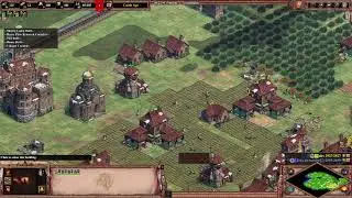 Do I need the relics even? | Arena | Lithuanians vs Hindustanis | AoE2