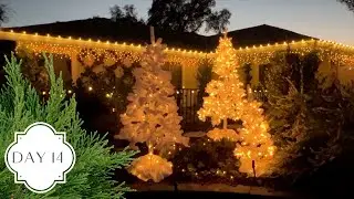 Holidays in the Garden Day 14! :: Nighttime Holiday Lights Tour!