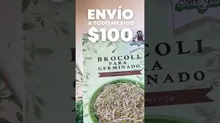 Semillas para germinados a domicilio