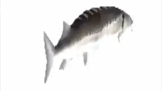 Roteante Pesce Cannabinoideo
