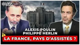 En France, presque tout le monde est fonctionnaire sans le savoir - Philippe Herlin et Alexis Poulin