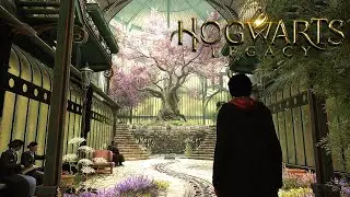 Hogwarts Legacy | Greenhouse Music & Ambience | Relaxing, Calm, peaceful