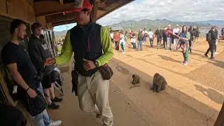 Arashiyama Monkey Park - Kyoto, Japan - Walkthrough