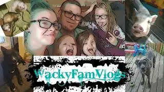 Channel Trailer | Who is WackyFam