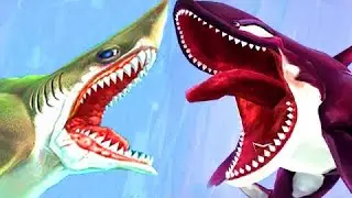 Hungry Shark World - Killer Whale vs Megalodon - Unlocking All 34 Sharks - Android / iOS