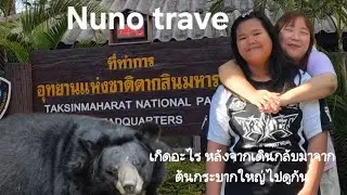 อุทยานแห่งชาติตากสินมหาราช เกิดอะไรขึ้นหลังเดินกลับอาจจะต้นกระบากใหญ่เมื่อความอยาก บดบังความพร้อม