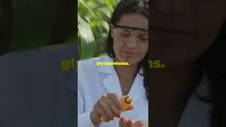 Nano Fertilizers #sciencefather #researchawards #Glycoproteins #NanoUrea #nanodap