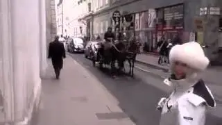 Vienna Austria a visit to the Lipizzan Horses