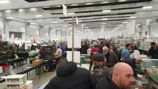 ITALY BIRD MARKET || Bird Market of Reggie, Italy ||2019,,,birds care & information