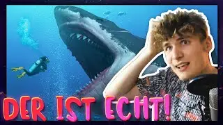 Der MEGALODON - Gibt es IHN noch HEUTE? | Marius Angeschrien Twitch Story